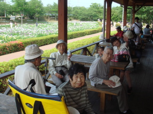 のどかな景色に、皆さんの心も安らぎます( ＾－＾)_旦~